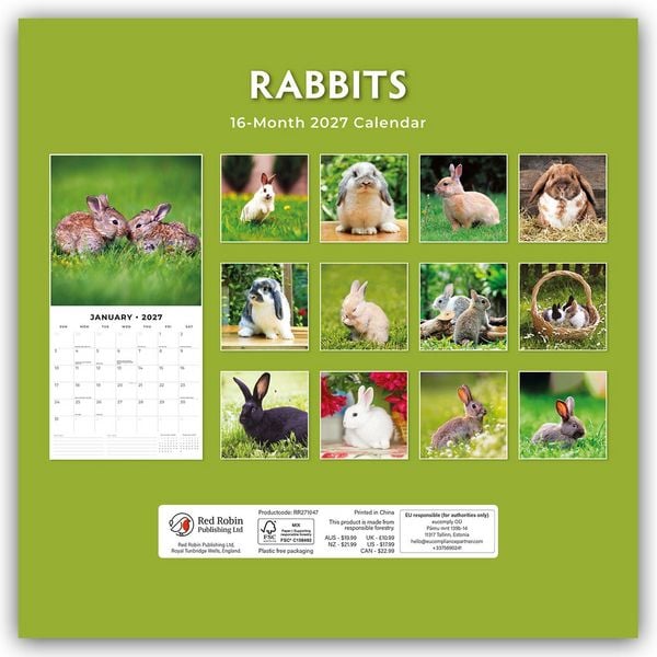 Produktbild: Rabbits &ndash; Hasen &ndash; Kaninchen 2027 &ndash; 16-Monatskalender