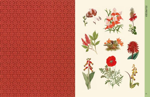 Produktbild: Botanical Art to Cut out and Collage