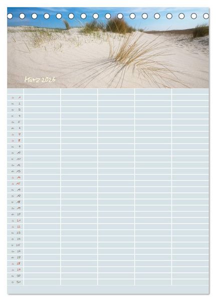 Produktbild: Kleine Sand-Sch&ouml;nheiten / Familienplaner (Tischkalender 2026 DIN A5 hoch), CALVENDO Monatskalender