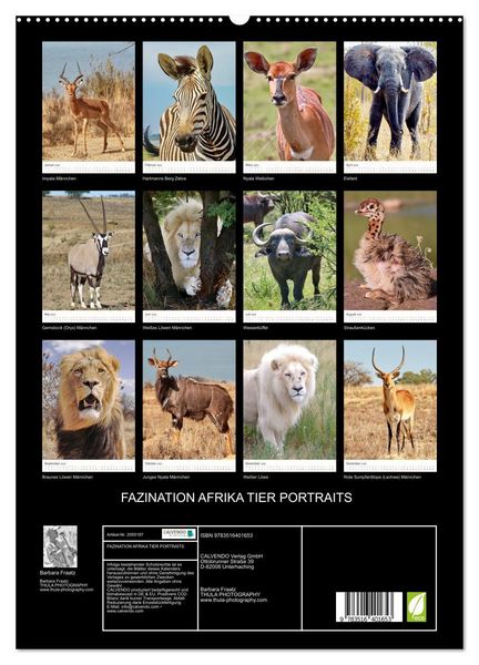 Produktbild: FAZINATION AFRIKA TIER PORTRAITS (hochwertiger Premium Wandkalender 2026 DIN A2 hoch), Kunstdruck in Hochglanz