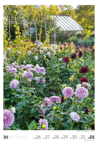 Produktbild: Garten Wochenkalender 2027