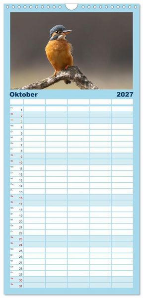 Produktbild: Familienplaner 2027 - Alcedo atthis. Der Eisvogel mit 5 Spalten (Wandkalender, 21 x 45 cm) CALVENDO