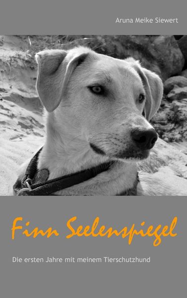 Produktbild: Finn Seelenspiegel