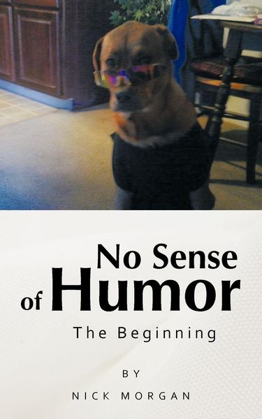 Produktbild: No Sense of Humor