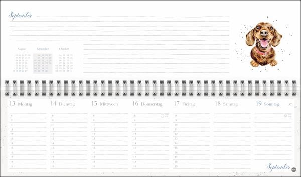 Produktbild: Hannah Dale : Wochenquerplaner 2027