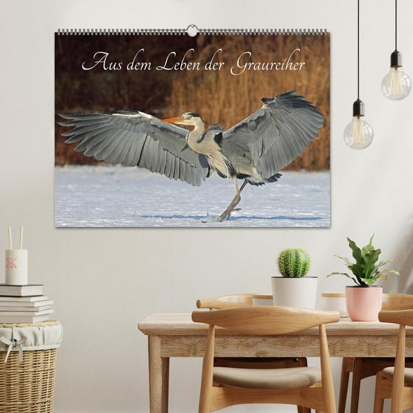 Produktbild: Aus dem Leben der Graureiher (Wandkalender 2026 DIN A2 quer), CALVENDO Monatskalender