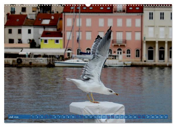 Produktbild: Inselwelt Cres & Losinj (hochwertiger Premium Wandkalender 2026 DIN A2 quer), Kunstdruck in Hochglanz
