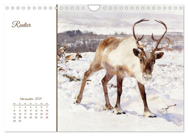 Produktbild: Tiere in Skandinaviens Wildnis (Wandkalender 2027 DIN A4 quer), CALVENDO Monatskalender