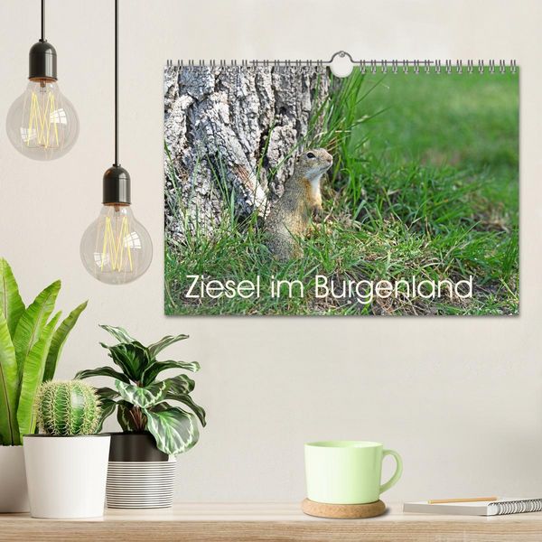 Produktbild: Ziesel im Burgenland (Wandkalender 2026 DIN A4 quer), CALVENDO Monatskalender