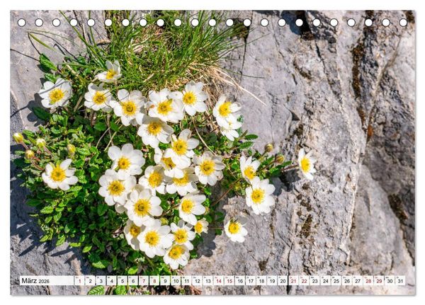 Produktbild: Der Rauschberg (Tischkalender 2026 DIN A5 quer), CALVENDO Monatskalender