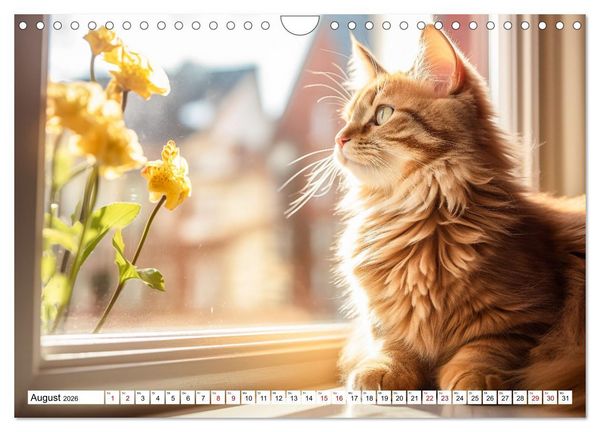 Produktbild: Das Jahr der Samtpfoten (Wandkalender 2026 DIN A4 quer), CALVENDO Monatskalender