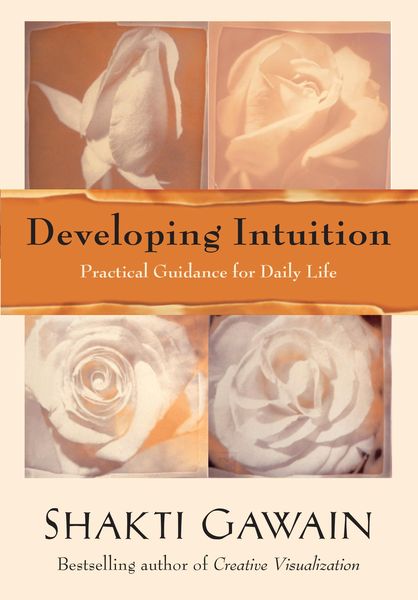 Produktbild: Developing Intuition