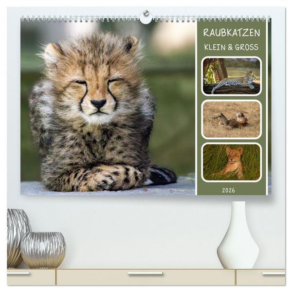 Produktbild: Raubkatzen - gro&szlig; & klein (hochwertiger Premium Wandkalender 2026 DIN A2 quer), Kunstdruck in Hochglanz