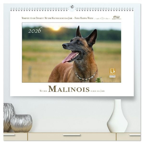 Produktbild: Mit dem Malinois durch das Jahr (hochwertiger Premium Wandkalender 2026 DIN A2 quer), Kunstdruck in Hochglanz