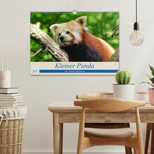 Produktbild: Kleiner Panda auf Entdeckungstour (Wandkalender 2027 DIN A3 quer), CALVENDO Monatskalender