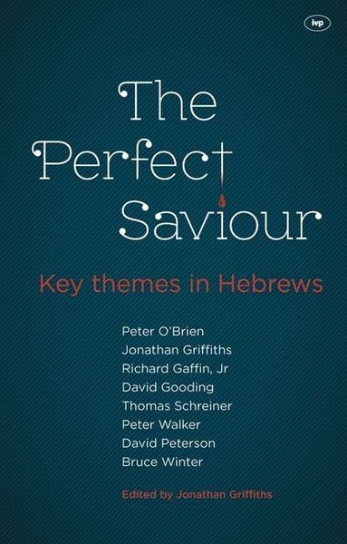 Produktbild: The Perfect Saviour
