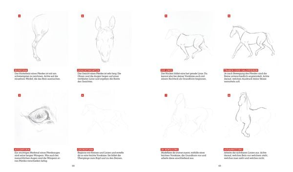 Produktbild: Tiere zeichnen &ndash; Das XXL-Starter-Set: Zwei B&uuml;cher im Bundle