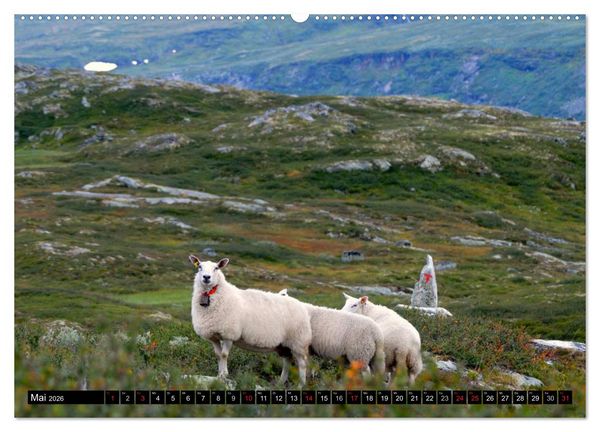 Produktbild: Streifzug durch Norwegens Hardangervidda (hochwertiger Premium Wandkalender 2026 DIN A2 quer), Kunstdruck in Hochglanz