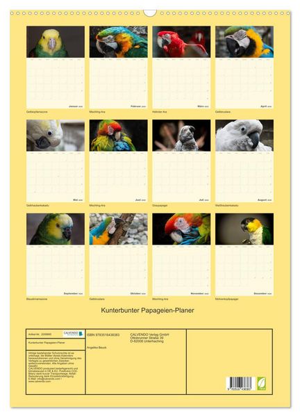 Produktbild: Kunterbunter Papageien-Planer (Wandkalender 2026 DIN A2 hoch), CALVENDO Monatskalender