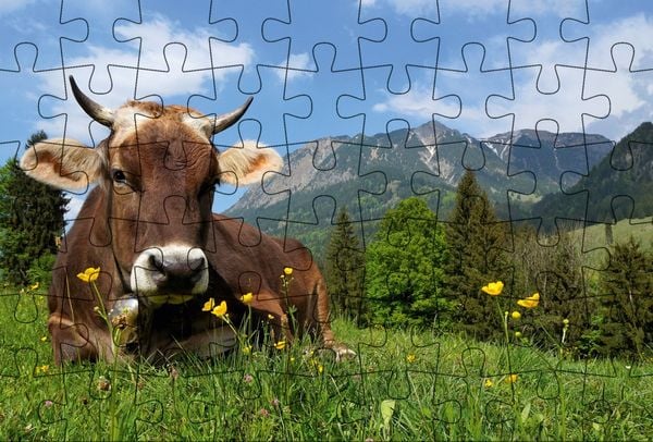 Produktbild: Puzzle-Postkarte Allg&auml;u