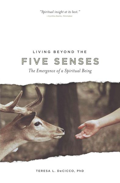 Produktbild: Living Beyond the Five Senses