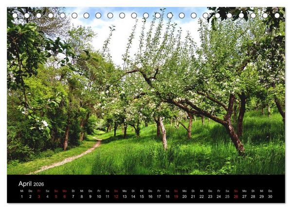 Produktbild: Pl&ouml;n - die Stadt am See (Tischkalender 2026 DIN A5 quer), CALVENDO Monatskalender