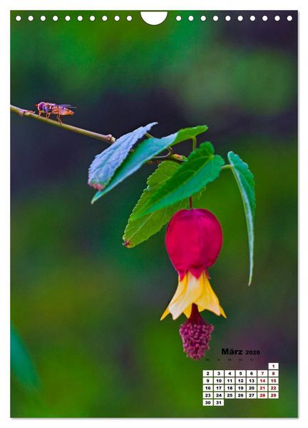 Produktbild: Spa&szlig; mit bunten Bl&uuml;mchen (Wandkalender 2026 DIN A4 hoch), CALVENDO Monatskalender