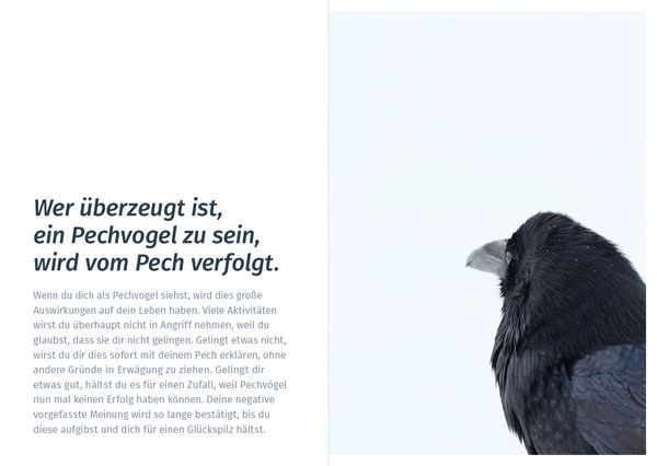 Produktbild: Wecke deine Lebensfreude
