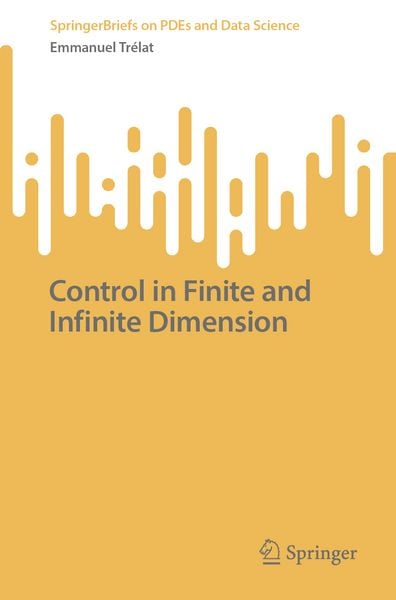 Produktbild: Control in Finite and Infinite Dimension