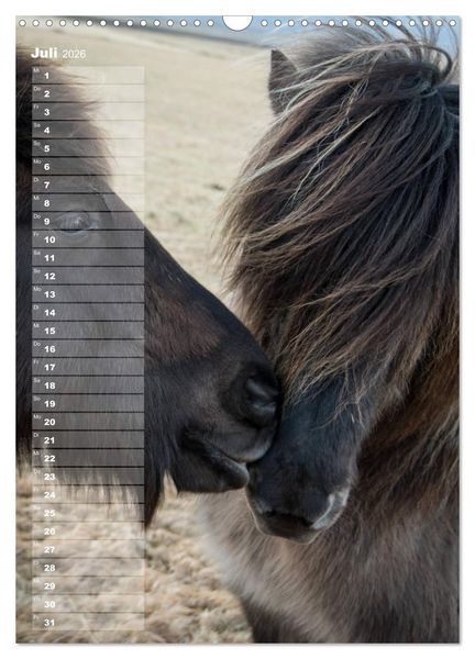 Produktbild: Mein ISLANDPFERDE Planer - Geburtstage, Hof-Feste, Turniere (Wandkalender 2026 DIN A3 hoch), CALVENDO Monatskalender