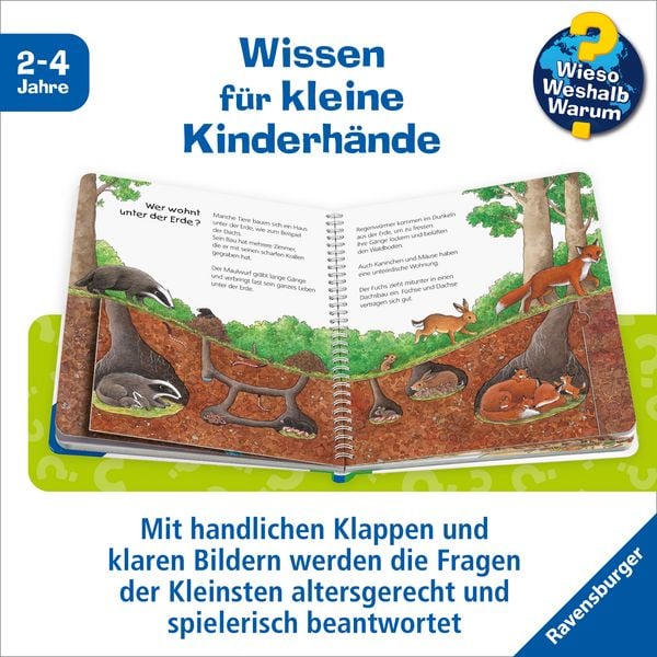 Produktbild: Der Wald / Wieso? Weshalb? Warum? Junior Bd. 6