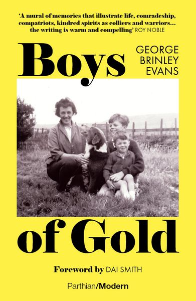 Produktbild: Boys of Gold