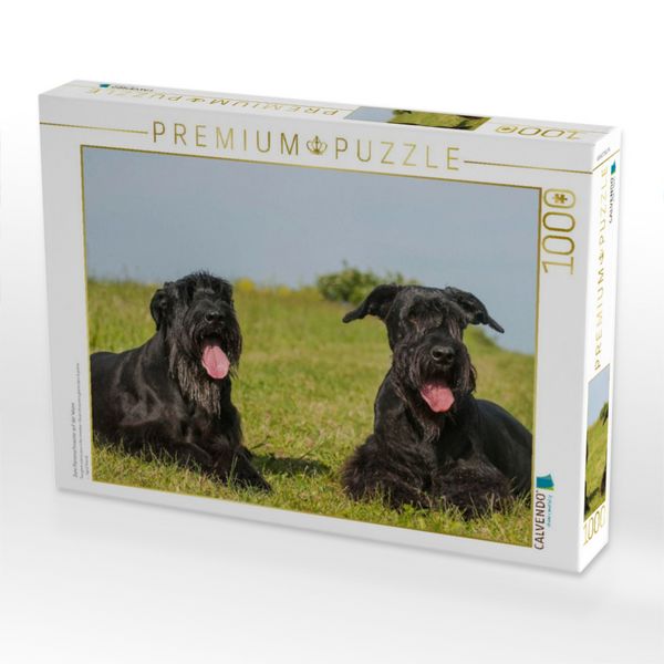 Produktbild: CALVENDO Puzzle Zwei Riesenschnauzer auf der Wiese | 1000 Teile Lege-Gr&ouml;&szlig;e 64x48cm Foto-Puzzle f&uuml;r gl&uuml;ckliche Stunden