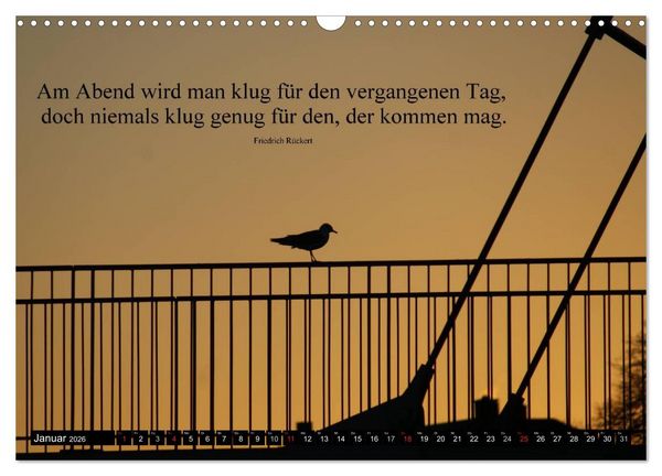 Produktbild: Weisheiten, Zitate und Spr&uuml;che - Ein Jahr voller Gedanken 2026 (Wandkalender 2026 DIN A3 quer), CALVENDO Monatskalender