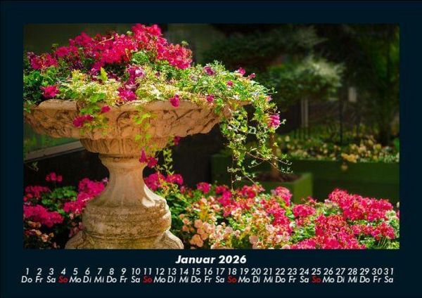 Produktbild: Blumentr&auml;ume 2026 Fotokalender DIN A5