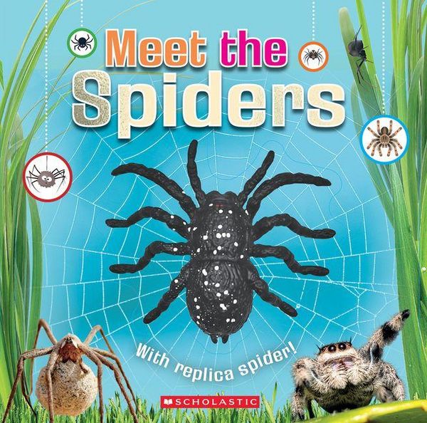 Produktbild: Meet the Spiders (Meet the Book with Spider Toy)