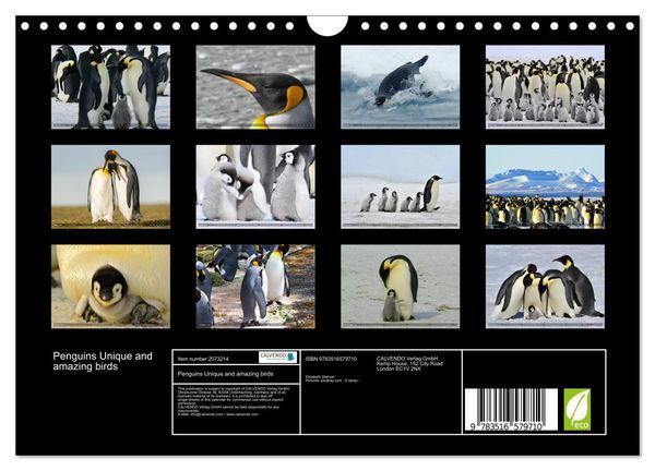 Produktbild: Penguins Unique and amazing birds (Wall Calendar 2026 DIN A4 landscape), CALVENDO 12 Month Wall Calendar