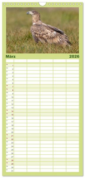 Produktbild: Familienplaner 2026 - Seeadler in Polen mit 5 Spalten (Wandkalender, 21 x 45 cm) CALVENDO