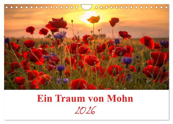 Ein Traum von Mohn (Wandkalender 2026 DIN A4 quer), CALVENDO Monatskalender