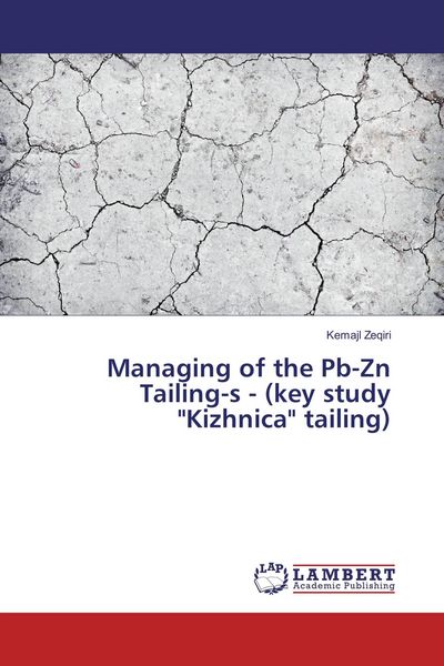 Produktbild: Managing of the Pb-Zn Tailing-s - (key study "Kizhnica" tailing)