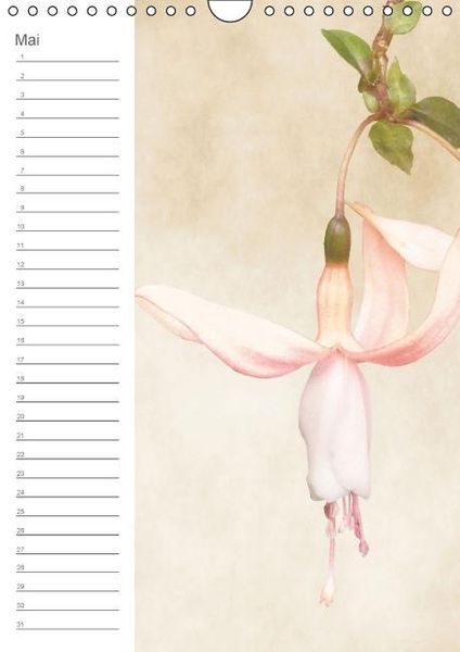 Produktbild: Zarte Bl&uuml;ten / Geburtstagskalender (Wandkalender immerw&auml;hrend DIN A4 hoch)