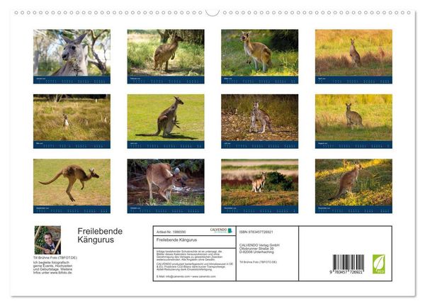 Produktbild: Freilebende K&auml;ngurus (hochwertiger Premium Wandkalender 2026 DIN A2 quer), Kunstdruck in Hochglanz