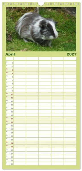 Produktbild: Familienplaner 2027 - Kuschelige Meerschweinchen mit 5 Spalten (Wandkalender, 21 x 45 cm) CALVENDO
