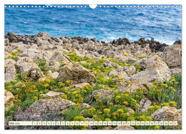 Produktbild: Mediterrane Flora - Pflanzen des S&uuml;dens (Wandkalender 2026 DIN A3 quer), CALVENDO Monatskalender