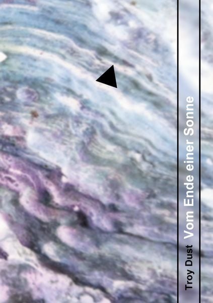 Vom Ende einer Sonne, Taschenbuch von Troy Dust, BoD – Books on Demand, 9783756231195
