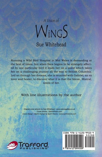 Produktbild: A Vision Of Wings