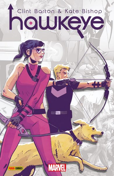 Produktbild: Hawkeye