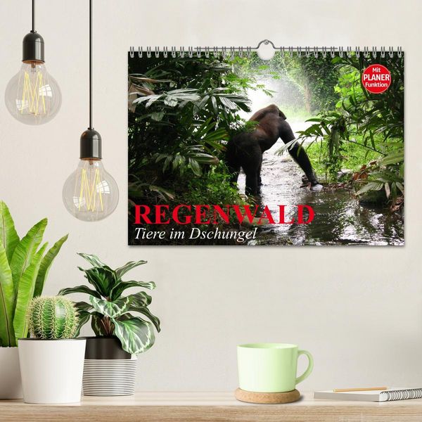 Produktbild: Regenwald. Tiere im Dschungel (Wandkalender 2026 DIN A4 quer), CALVENDO Monatskalender