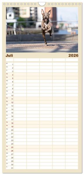 Produktbild: Familienplaner 2026 - Hunde in der City - Unterwegs in Hamburg mit 5 Spalten (Wandkalender, 21 x 45 cm) CALVENDO