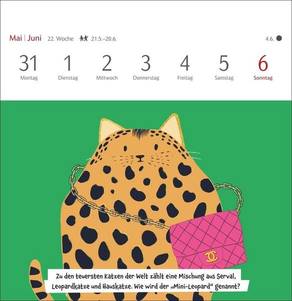 Produktbild: Unn&uuml;tzes-Wissen-Quiz Katzen Premium-Postkartenkalender 2027 - Kalender mit 53 R&auml;tselkarten